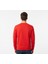Erkek Regular Basic Sweatshirt 3