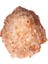 Yemeklik Himalaya Kristal Kaya Tuzu Çakıl Pembe 500 gr 1