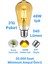 6W Amber Rustik Ampul St 64 Flamanlı 540 Lümen Edison Ampul 1