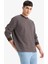 Relax Fit Bisiklet Yaka Çizgili Sweatshirt E9408AX25AU 6