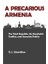 Precarious Armenia 1