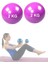 2 kg Pilates Ağırlık Topu Plates Toning Ball Denge ve Agirlik Topu 2 kg x 2 Adet Toning 2 kg Mor 1