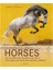 The World's Most Beautiful Horses (Ciltli) 1