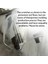 Bmw Kawasaki Yamaha Honda Suzuki Için Şeffaf Evrensel Motosiklet Ön Cam Uzantısı Ayarlanabilir Spoiler 300X195X155MM (Yurt Dışından) 2