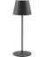 Elysia Lamp 1