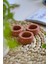 El Yapımı Terracotta Beton Tealight Mumluk 3\'lü Set | Dekoratif Şamdan, Yüzük Tabağı 1
