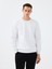 Regular Fit Erkek Sweatshirt 1