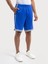 Regular Fit Erkek Şort 7