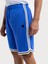 Regular Fit Erkek Şort 10