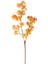 Yapay Bahar Dalı Turuncu 70 Cm. 1