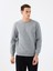 Regular Fit Erkek Sweatshirt 1