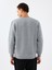 Regular Fit Erkek Sweatshirt 3
