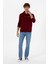 Erkek Bordo Sweatshirt 50315582-VR014 4