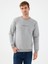 Regular Fit Erkek Sweatshirt 7