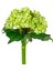 Yapay Ortanca Yeşil 28 Cm. 1
