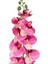 Yapay Orkide Pembe 90 Cm. 2