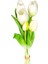 Yapay Lale 3 Çiçek 2 Tomurcuklu Beyaz 33 Cm. 3
