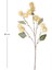 Yapay Top Çiçek Krem 63 Cm. 3