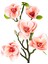 Yapay Manolya Dalı Pembe 75 Cm. 2