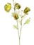 Yapay Çiçek Gelincik Yeşil 70 Cm. 1