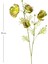 Yapay Çiçek Gelincik Yeşil 70 Cm. 3