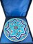 Selçuklu Yıldızı ve Lotus Motifli Iznik Çini Tabak 3