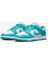 Dunk Low Next Nature Kadın Sneaker Ayakkabı 5