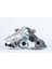 16309980005 Turbo Polo 14>ıbıza-Fabıa-A1 14>1.4tdı Cusb-Cyzb Borgwarner 04B253019G-04B253019F-04B253019 1