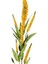 Yapay Lavanta Dalı Sarı 71 Cm. 2