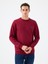 Regular Fit Erkek Sweatshirt 1