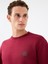 Regular Fit Erkek Sweatshirt 4