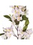 Yapay Çiçek Begonvil Beyaz 75 Cm. 2