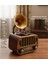 Retro Gramofon Görünümlü Bluetooth\'lu Fm/am/sw 3 Bant Radyo ve Müzik Çalar (Everton RT-738) 4