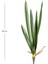 Yapay Orkide Yaprağı Yeşil 56 Cm. 3