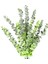 Yapay Okaliptus Demeti Açık Yeşil 56 Cm. 2