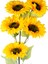 Yapay Ayçiçeği Demet 5 Çiçekli Sarı 93 Cm. 2