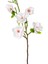 Yapay Manolya Dalı Beyaz 75 Cm. 1