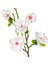 Yapay Manolya Dalı Beyaz 75 Cm. 2