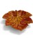 Sonbahar Yaprağı Formlu Dekoratif Tabak – 15 cm x 13,5 cm 5