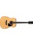 PF15-NT Akustik Gitar 1