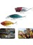 78 Parça Rapala Jig Sahte Olta Yem ve Aksesuar Seti Tatlı ve Tuzlu Su Uyumlu 5