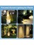 AMBER18 LED Spot Güneş Enerjili Bahçe Aydınlatma Lambası, Fotoselli, Spike Aplik, 18W Su Geçirmez Dış Mekan Solar Lamba, Ağaç, Veranda, Garaj, Havuz, Duvar ve Zemin Montajına Uygundur 42 cm 3