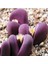 Look Lithops Optica Cv Rubra Sukulent Tohumu TH-9154684654821 1