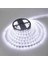 CT-4487 10ç Dış Mekan Beyaz LED Şerit, 5m 2