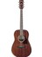 PF14JR Opn - Open Pore Natural Akustik Gitar 1