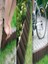 Garden Ahşap Görünümlü Çim Bordürü 2.3 Metre Çim Ayırıcı 4