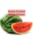Organik Karpuz Tohumu 1 Paket (10GR=100+ Adet) Crimson Sweet Karpuz Tohumu 2