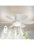 Noıyb Tavan Vantilatörü Aydınlatmalı, 40W E26/27 LED Fan Lambası Uzaktan Kumandalı ve Ekstensor, Kısılabilir, 3 Rüzgar Hızı, Yeni 52CM Tavan Vantilatör Zamanlayıcı（3 Adet) 1