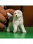 Ingiliz Çoban Köpeği, Oyuncak Figür 2