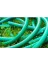 1/2" Garden Bahçe Sulama Hortumu 5 Metre 2
